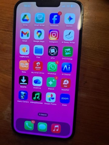 Apple iPhone 13 Pro Max